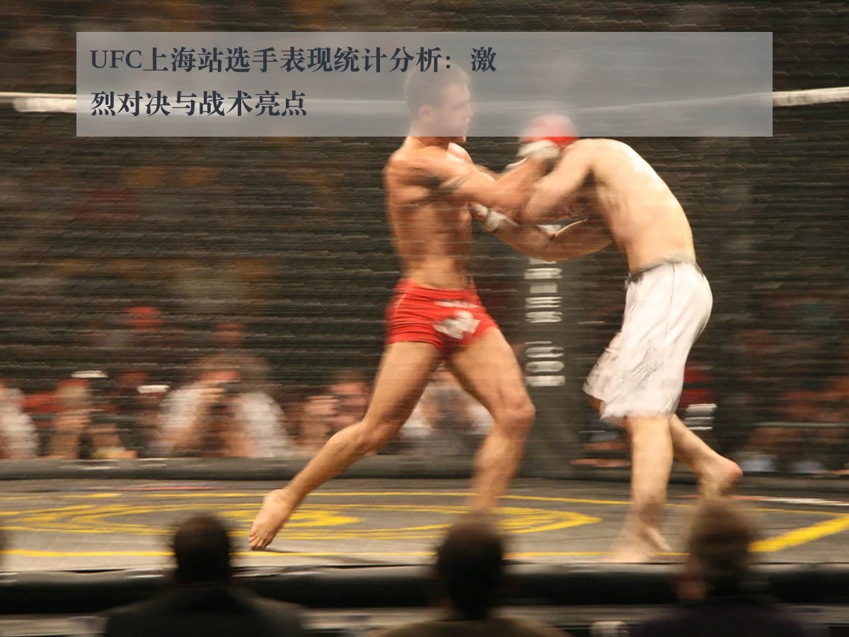 UFC上海站选手表现统计分析:激烈对决与战术亮点